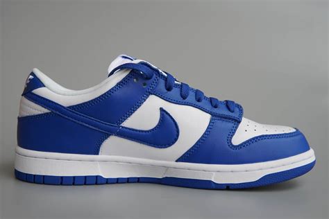 nike dunks blauw|Nike dunk dark blue shoes.